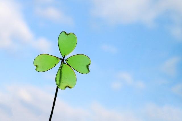 未来に向かって伸びる四つ葉のクローバー｜子供の可能性の種子を表現したイメージ